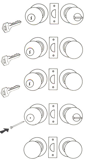 POMO